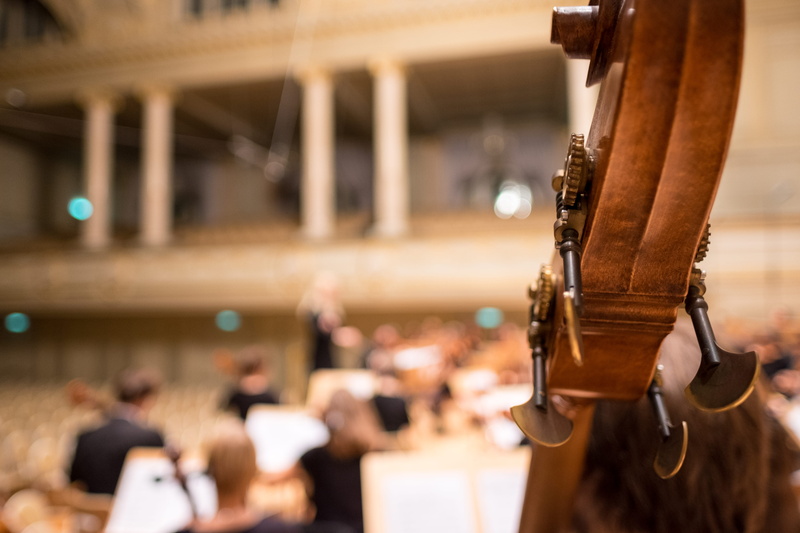brown, symphony, seat, surface, musician, musical instrument, classical music, string instrument, wood - material, incidental people, string, auditorium
