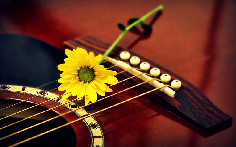 selective focus, musical instrument, still life, musical equipment, no people, string, acoustic guitar, close-up, wood - material, string instrument, flowering plant