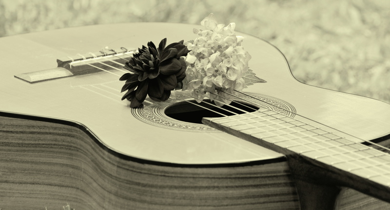 grayscale, black white, acoustic guitar, bouquet, wooden guitar, musical Instrument, keyboard, wood - material, musical instrument string, table, flower arrangement