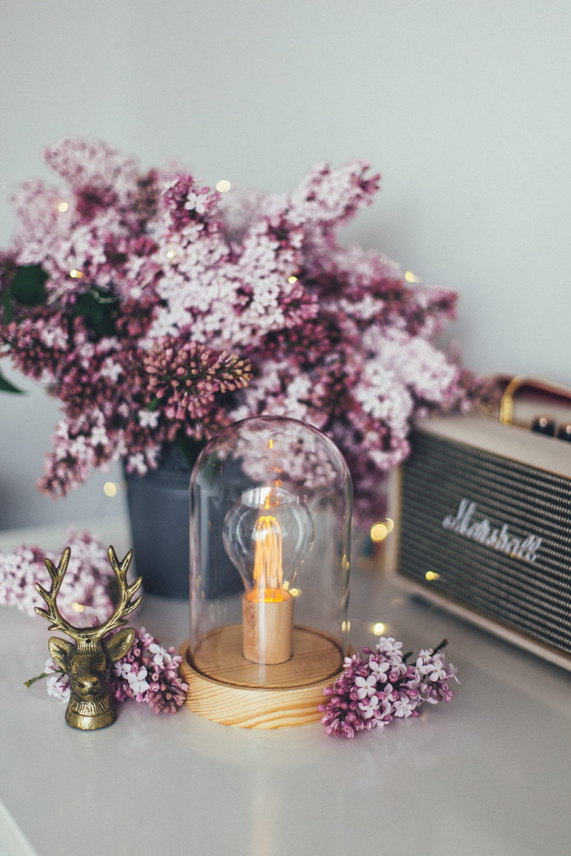 light, guitar, lilac, flower head, interior, brown, amplifier, no people, marshall, container, plant, lightbulb, table, idea, bouquet, deer, lightbolb