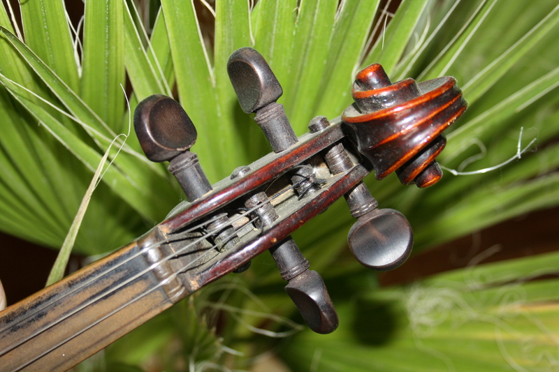 minutes, wood, day, swing, background, tree, nature, abstract, stringed instrument, food, classic, musical instruments, violin, musical instrument, studio shot
