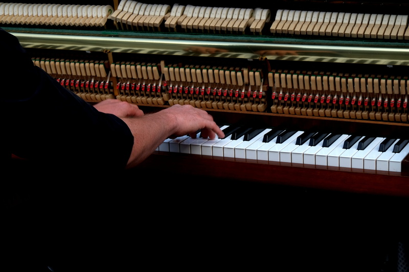 human body part, keys, sound, black, musician, finger, tonkunst, musical instrument, playing the piano, arts culture and entertainment, human finger, white