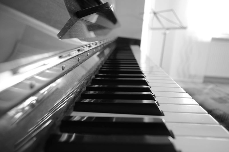 notenblatt, keys, in a row, indoors, steps and staircases, staircase, white, built structure, selective focus, diminishing perspective, piano key, day
