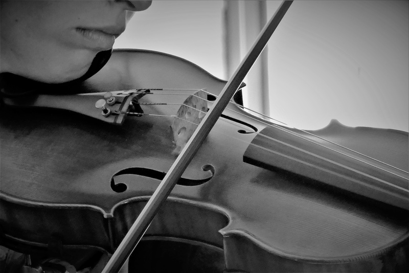 learning, men, one Person, performance, sound, arts culture and entertainment, double bass, wood, live, close-up, artist, arch, art, music, musician, tonkunst