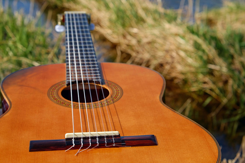 still life, musical instrument, focus on foreground, setting, musical equipment, string instrument, 4K, brown, musical instrument string, sheet music