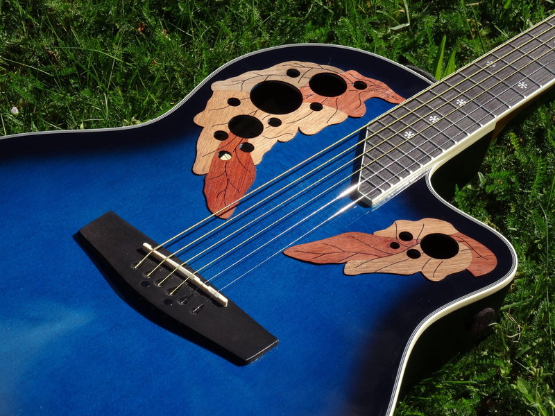 guitar, grass, round back, nature, ornament, 5K, no people, musical instrument string, music, art and craft, day, acoustic, plant, blue, soundbody, musical instrument