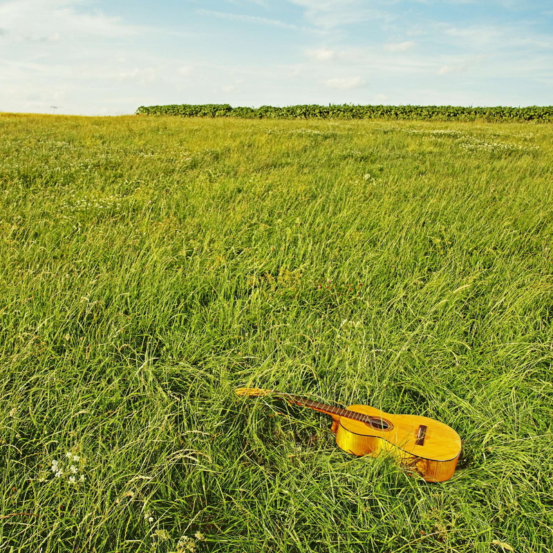 acoustic guitar, nature, green color, agriculture, out, outdoors, guitar, 1080P, musical instrument, beauty in nature, field, land, folk, rural scene