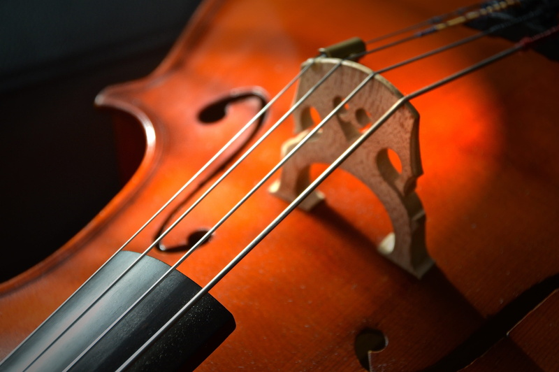 instrument, studio shot, selective, antique, performing arts event, cello, violin, bow - musical equipment, strings, performance, musical instrument, string instrument