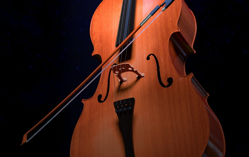 musical equipment, people, wood - material, studio shot, musician, arch, violinist, creativity, arts culture and entertainment, stringed instrument, violin