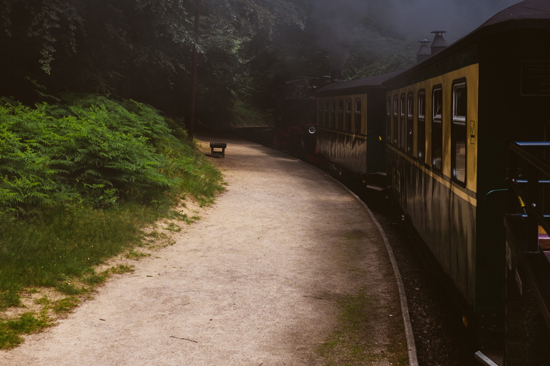 direction, mode of transportation, historic, kap, 4K, nature, landscape, plant, sky, public transportation, vintage, train - vehicle, tree, train, outdoor
