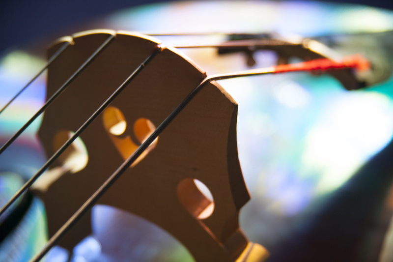selective focus, lighting equipment, input device, bass, close-up, instrument, Bass, arts culture and entertainment, indoors, Instrument, Strings, musical instrument