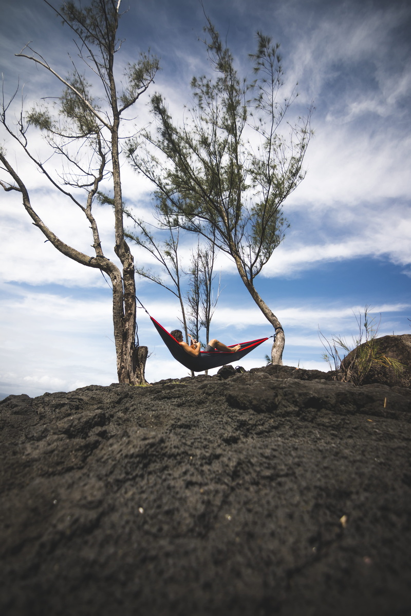 tranquil scene, nature, red, ukelele, human arm, full length, 5K, land, day, black, outdoors, one person, field, branch, real people, hammock, plant, daytime