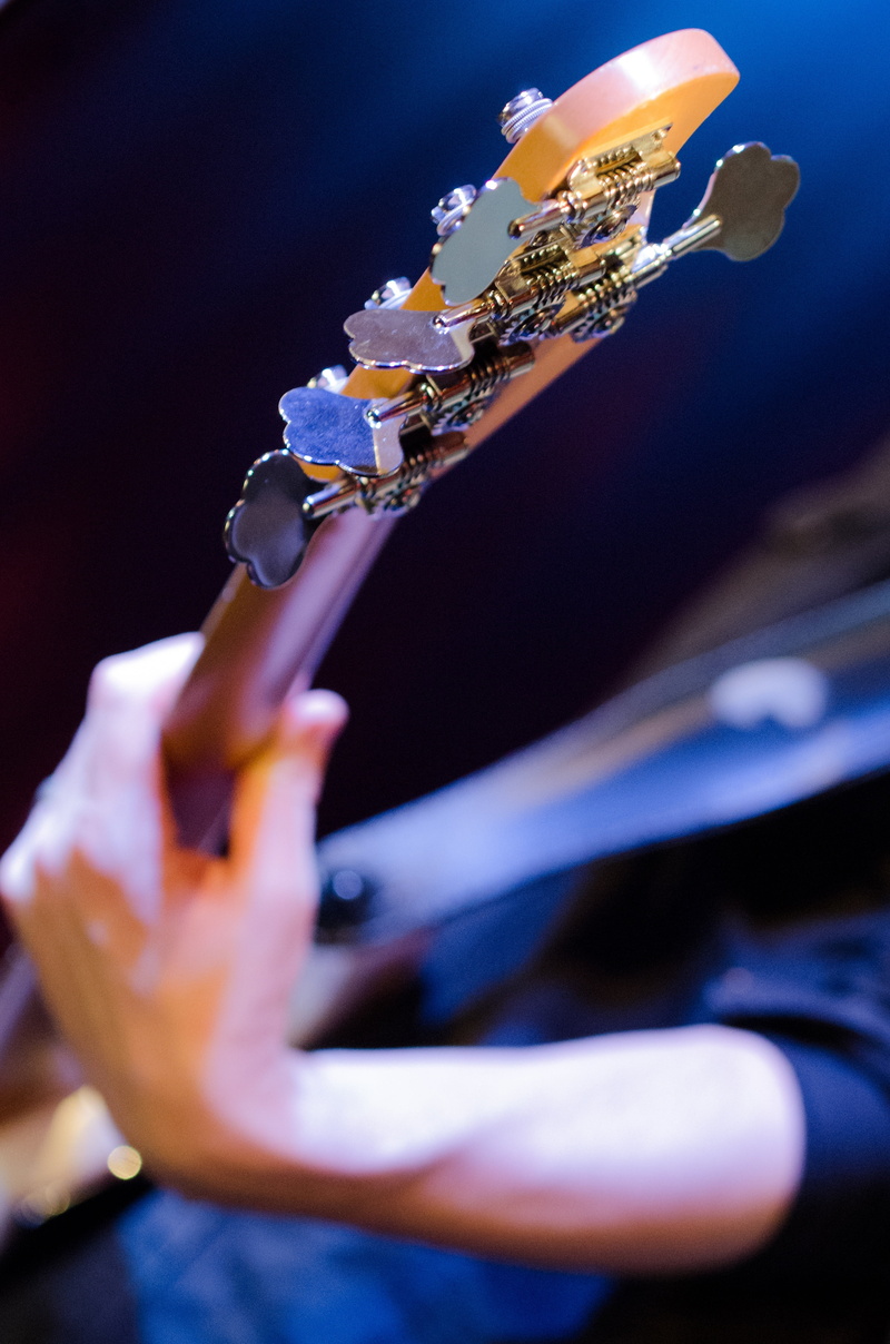 playing, musical instrument, strings, illuminated, instrument, focus on foreground, stringed instrument, bass, real people, musician, bassist, 4K, hand