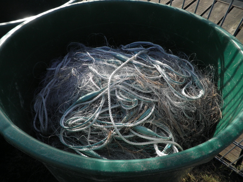 green color, fishing net, no people, wood - material, gillnet, equipment, still life, container, nature, outdoors, bucket, directly above, food and drink