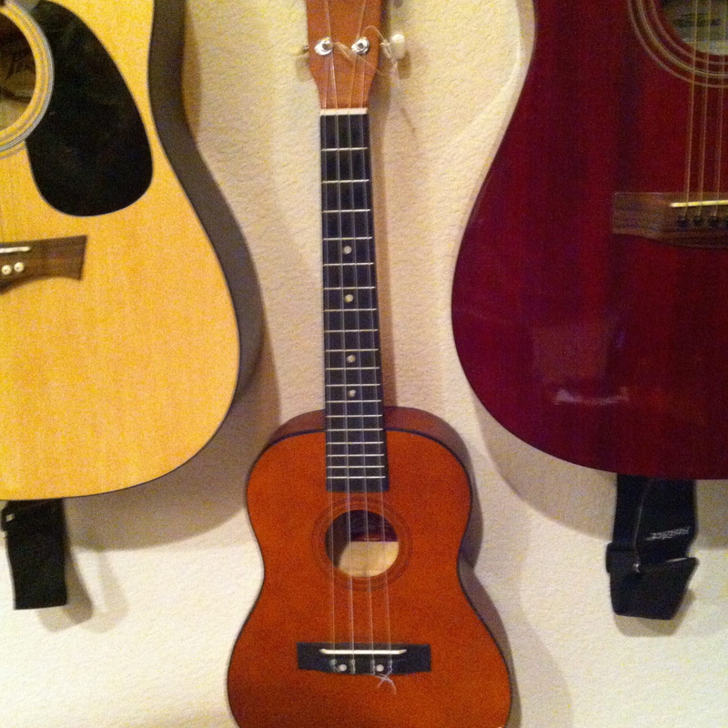 indoors, fingerboard, still life, musical equipment, instrument, performance, Ukulele, musical instrument string, Music, woodwind instrument, no people