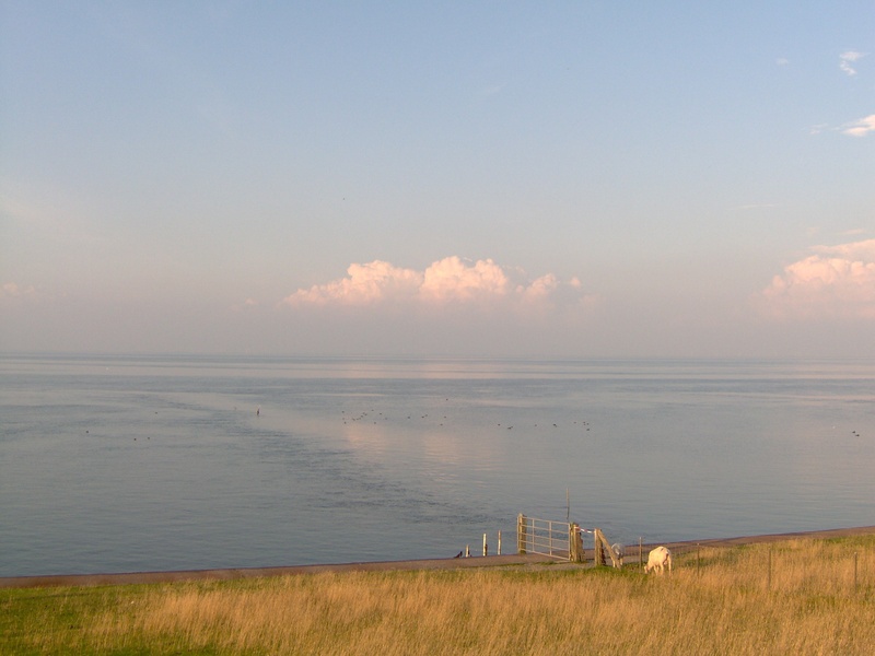 scenics - nature, beauty in nature, horizon over water, abendstimmung, rest, tranquility, north sea, ocean, outdoors, cloud - sky, dike, sea, calm, grass