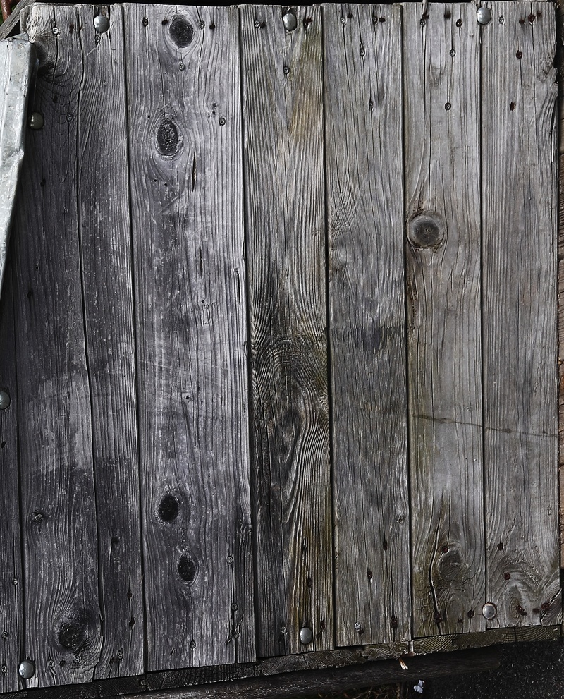 out of date, structure, wood grain, natural colour, barrier, full frame, abstract, material, batten, textured effect, security, wood paneling, close-up