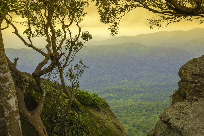 Thailand, growth, beauty in nature, tree, environment, Prodigy, Mountains, nature, thailand sightseeing, tranquility, mountain, outdoors, no people, water