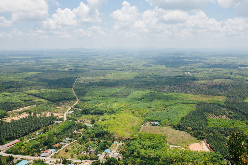 green color, cloud - sky, sky, tranquility, peak, land, tree, view, scene, scenics - nature, 5K, rural scene, thailand, grass, day, tranquil scene, tiger cave temple