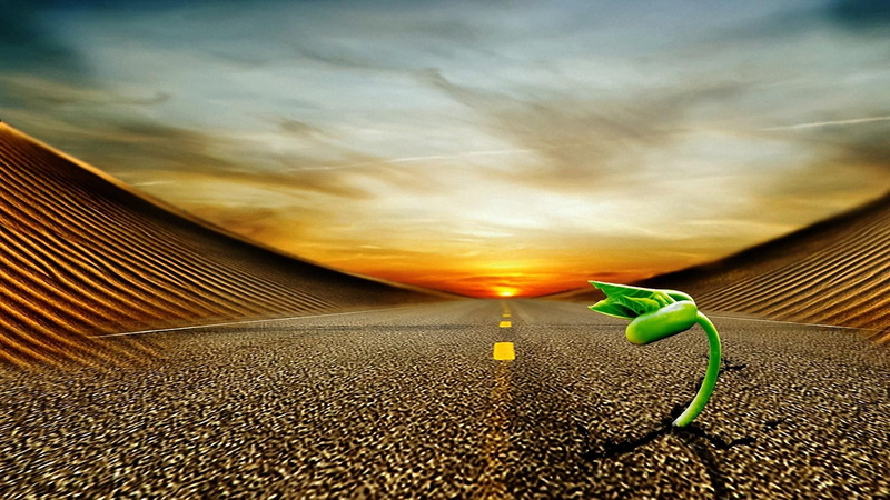 clouds, plant, 3d and abstract, stronger, green, road, 1080P, nature