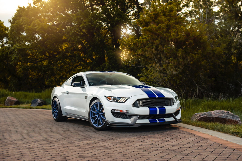Muscle Car, Vehicle, White Car, Shelby Mustang GT 350, 5K, Car, Ford