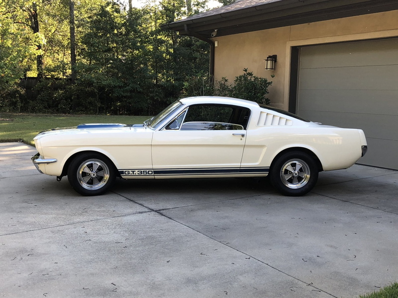 Muscle Car, Shelby Mustang GT 350, Ford, 1080P, White Car, Fastback, Shelby Mustang GT350, Car