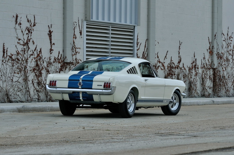 Shelby Mustang GT 350, Shelby Mustang GT350, 1080P, White Car, Fastback, Ford, Car, Muscle Car