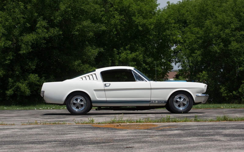 1080P, Fastback, Ford, Shelby Mustang GT350, Muscle Car, Car, White Car, Shelby Mustang GT 350