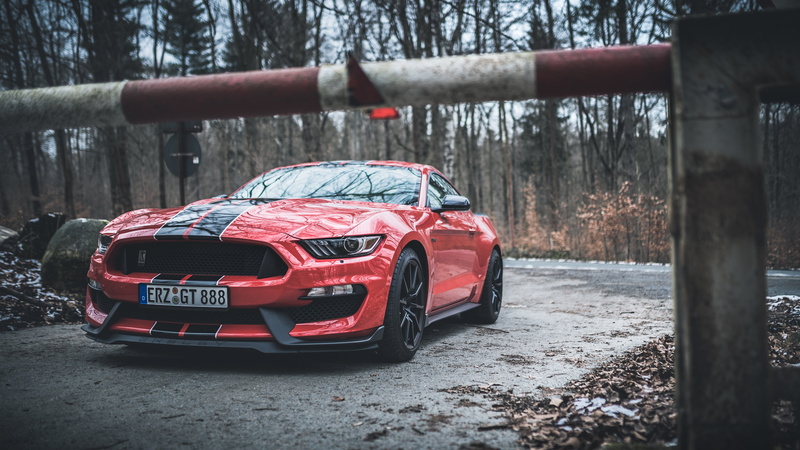 Ford Mustang Shelby GT350, Ford Mustang, GT350, 4K, Shelby, Shelby GT350, Ford, Mustang