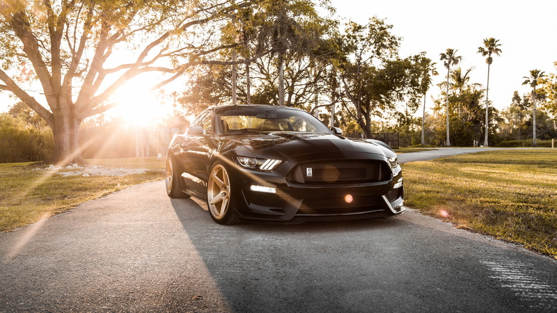 Shelby, Ford Mustang Shelby GT350, Mustang, GT350, 4K, Ford