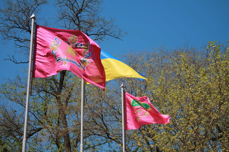 sky, flags, nature, waving, flag of zaporizhia, growth, ukraine, patriotism, pride, emotion, yellow, tree, plant, low angle view, day, national icon, the emblem of the city