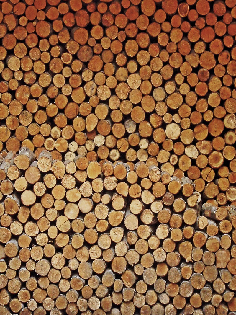 large group of objects, firewood, oars, lumber industry, wood - material, pattern, tree stump, tree, barrel, steel, plywood, nature, stack, wood, deforestation