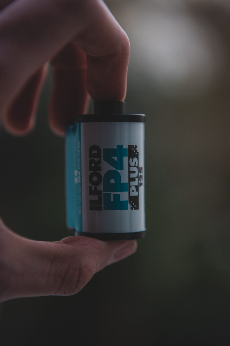 holding, plant, communication, flower, number, cosmetics, real people, finger, ilford, nail, cup, plus, bokeh, film camera, one person, text, person, fp4