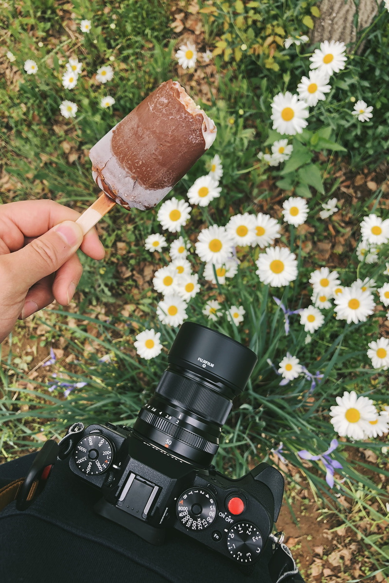 photography, freshness, hand, electronics, plant, human, vase, flower, photo, nature, camera lens, daisy, real people, human hand, daisies, person, flowering plant