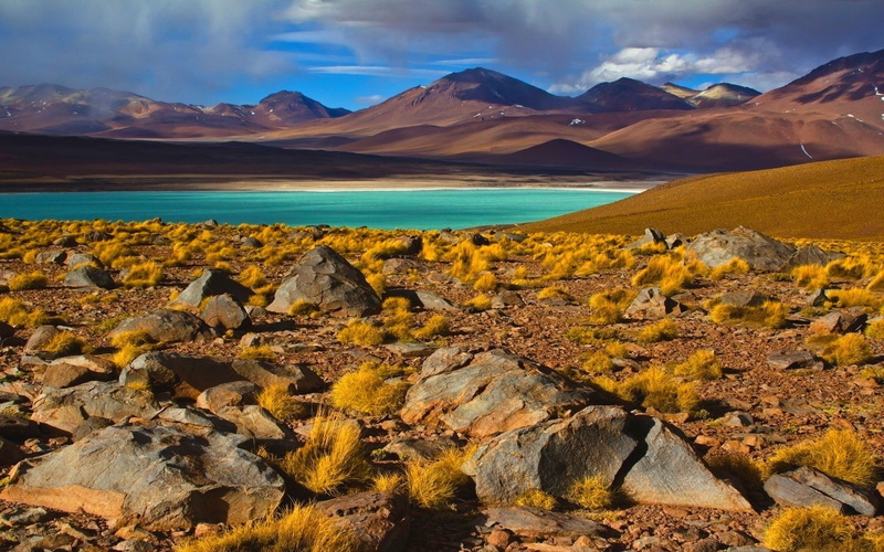 Shrubs, 720P, Atacama Desert, landscape, Chile, lake, photography, nature, mountains