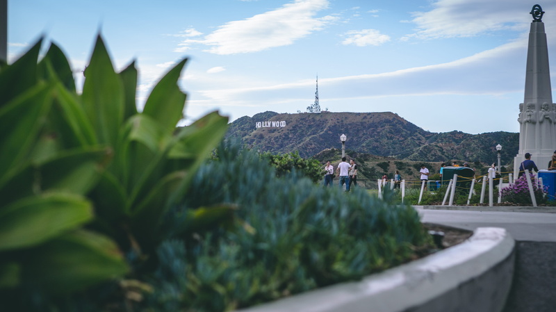 person, tower, plant, incidental people, countryside, los angeles, 5K, mountain, griffith park conservatory, cloud - sky, hollywoood, vegetation, bush