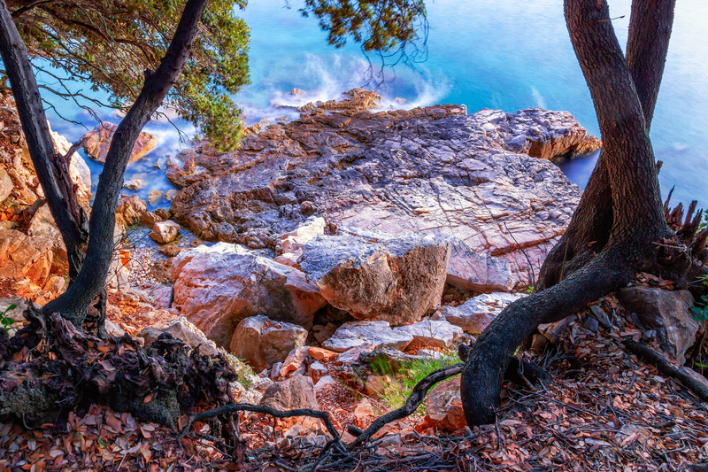 strata, nature, rocks, eroded, water, outdoors, wood, scenics - nature, plant, tree, tranquility, forest, grass, tree trunk, tranquil scene, landscape