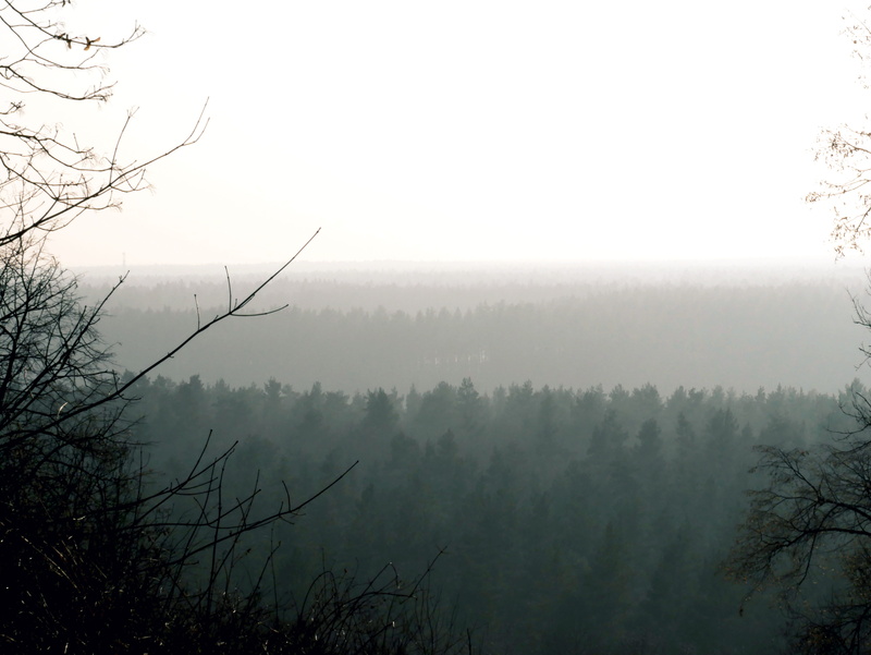 day, tranquil scene, hazy, landscape, fog, growth, non-urban scene, environment, scenics - nature, idyllic, berlin, no people, outdoors, tranquility, plant