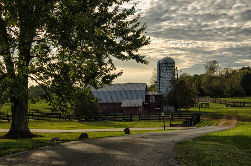 sky, built structure, growth, 4K, barn, silo, farming, kentucky, park, nature, outdoors, office building exterior, sunlight, day, farm, modern, plant