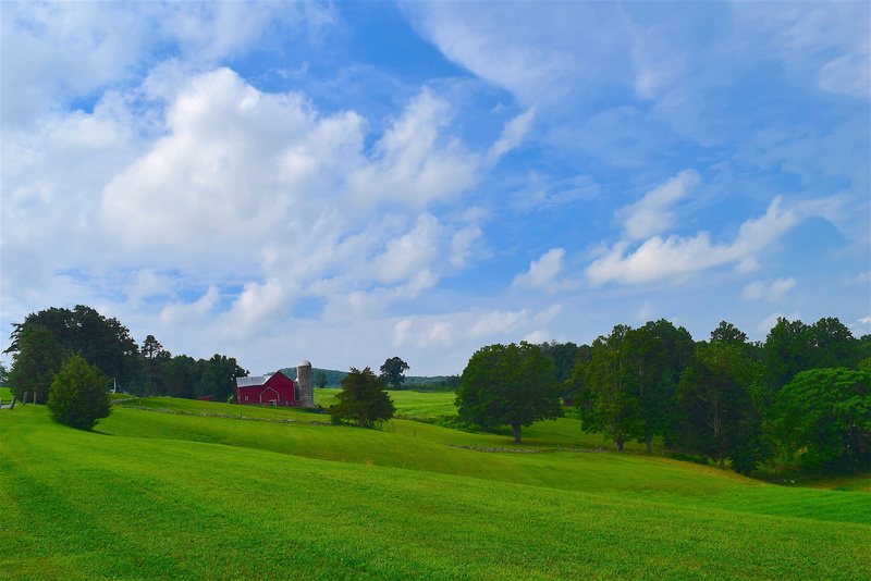 cloud - sky, farmland, farming, outdoors, building, blue, 4K, white, country, trees, sky, tree, environment, rural, farm, barn, green, pasture, clouds