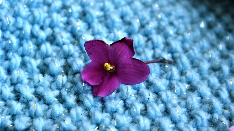texture, selective focus, yarn, motive, pink color, textile, high angle view, blue, purple, silver thread, design, beauty in nature, flower, inflorescence