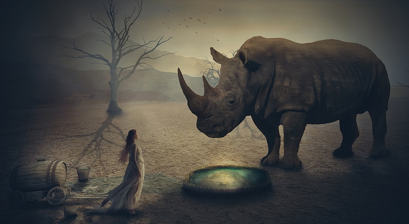 animal, bowl, mammal, nakrani, Aero, animal themes, girl, elephant, sculpture, tree, no people, group of animals, animal wildlife, rhino, Creative, art and craft