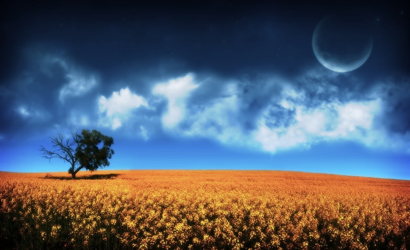 green, Dreams, Creative, tranquil scene, tree, moon, night, beauty in nature, scenics - nature, sky, rural scene, full moon, landscape, crop, outdoors