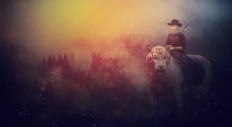 smoke - physical structure, tiger, men, people, dark, Creative, dust, communication, girl, clothing, character, awe, Aero, mystery, smoking - activity