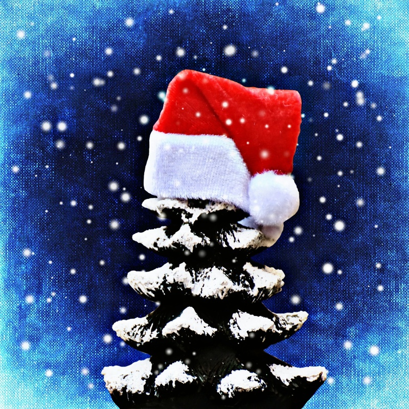 red, christmas time, winter, trees, cute, christmas tree, sweet food, 1080P, decoration, christmas decoration, holiday, contemplation, blue, christmas