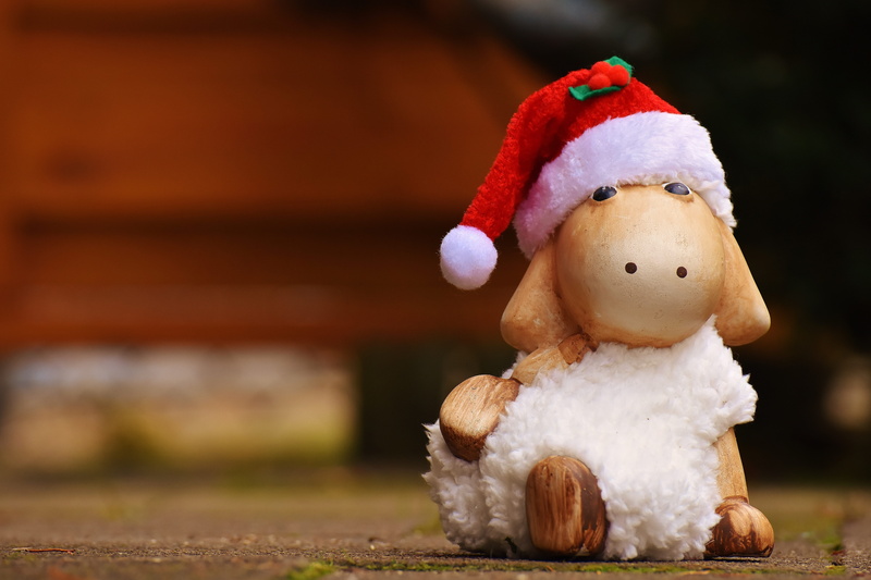 Deco, soft toy, 5K, holiday, figure, happiness, focus, toys, human representation, brown, stuffed toy, creativity, Christmas, Sheep, snow, ground, no people