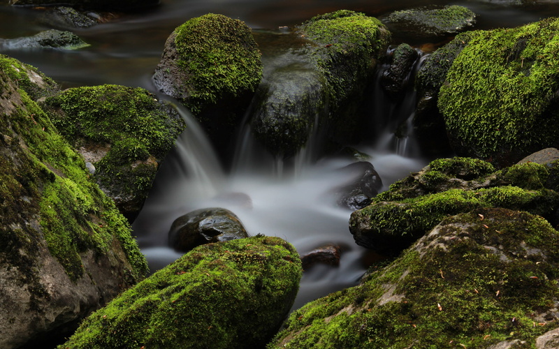 nature, stones, black, moss, rocks, waterfalls, hd, white, river, timelapse, 2K