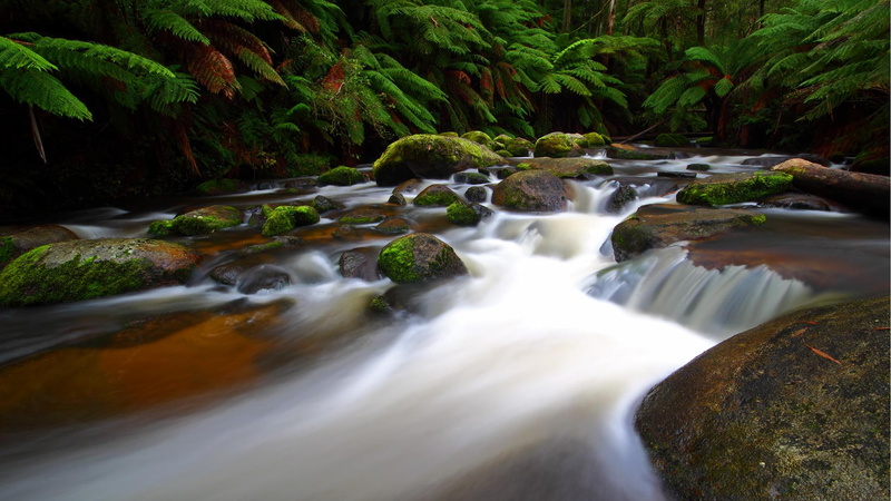 high, resolution, photography, waterfalls, timelapse, trees, nature, time, landscapes, lapse, rivers, forest, 1080P, river