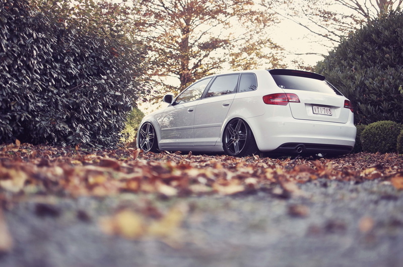 hd, audi, x, season, autumn, lowangle, shot, belgium, cars, art, tuning, 4K, autumn (season)