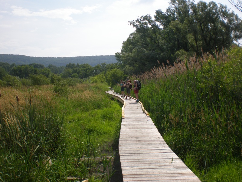the way forward, scenic, non-urban scene, 2K, beauty in nature, wood - material, appalachian trail, nature, scenics - nature, outdoor, day, pochuck creek